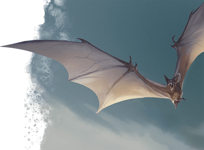 Image © Wizards of the Coast. Used here under their Fan Content Policy. Not official content.